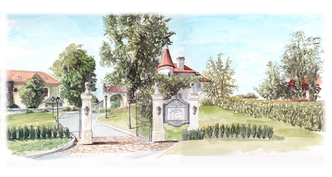 Chateau Brachet Gresy-sur-Aix Exterior photo